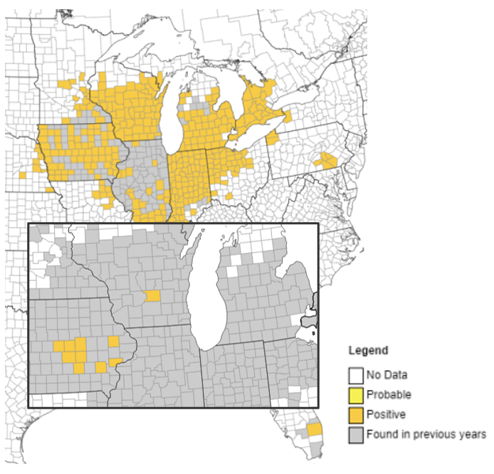 Incidence of confirmed tar spot since 2015 and thus far in 2022 (inset). Graphics from the Corn IPM Pipe website are updated throughout the season.